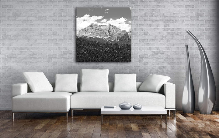Blumenwiese in den Alpen Format: 70x70 Effekt: Schwarz&Weiss als Leinwandbild, Motiv fertig gerahmt