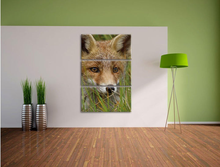 Pixxprint junger Fuchs auf Wiese als Leinwandbild/Grösse: 3 Teilig (120x80) cm/Wandbild/Kunstdruck/f