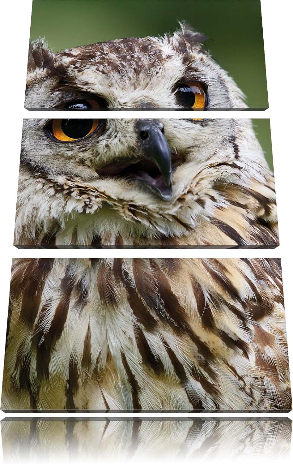 Pixxprint sehr müde Waldeule 3-Teiler Leinwandbild 120x80 Bild auf Leinwand