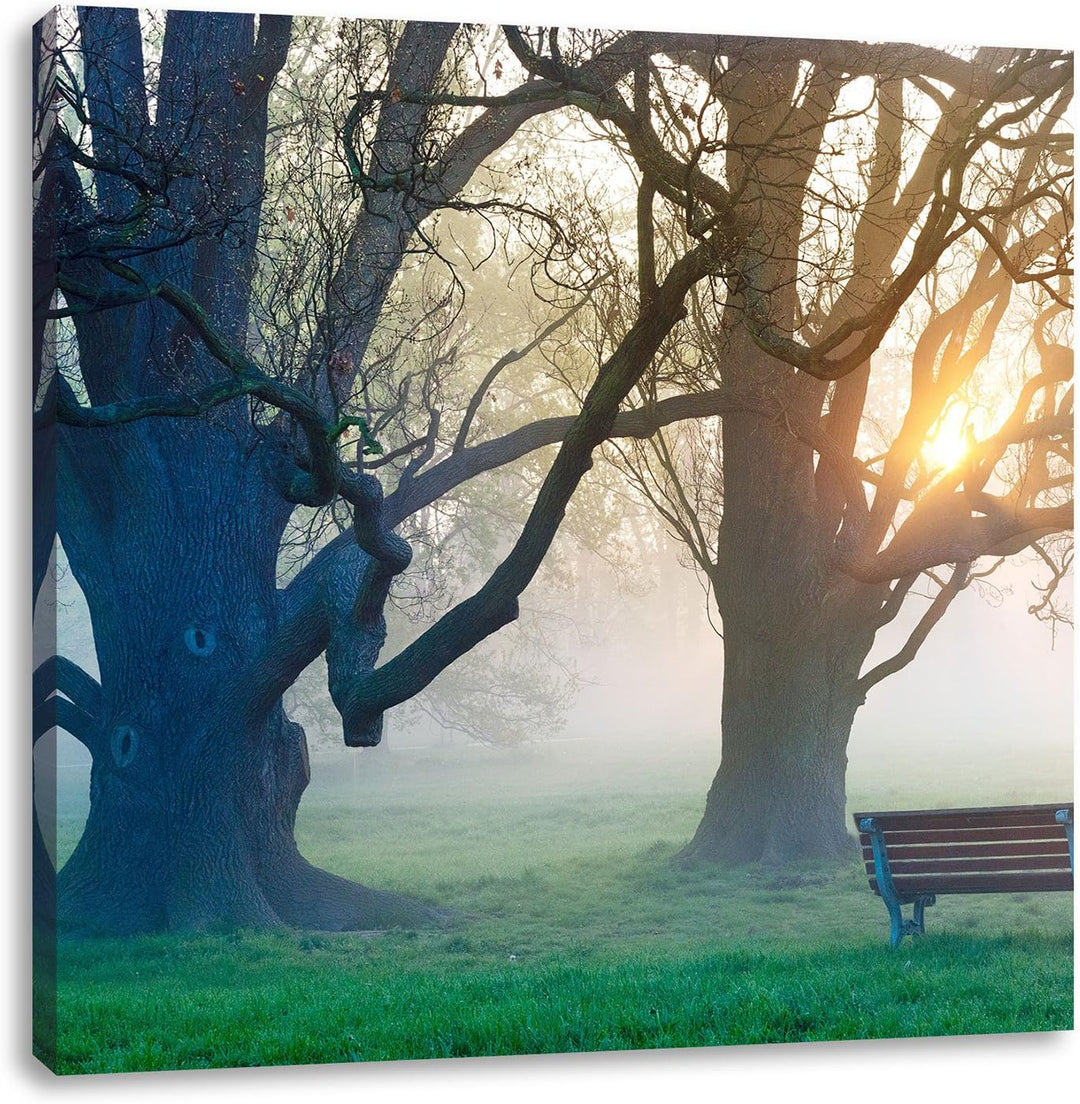 Baum und Bank im Nebel, Format: 70x70 auf Leinwand, XXL riesige Bilder fertig gerahmt mit Keilrahmen