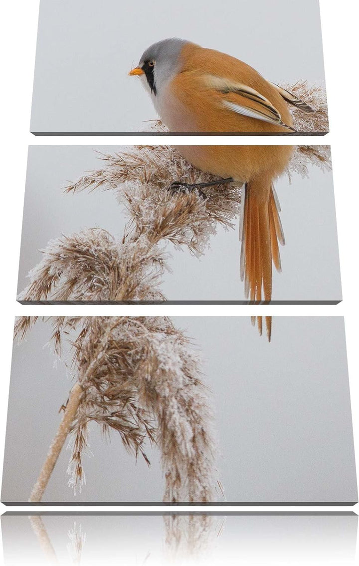 Pixxprint Vogel auf Weizen im Winter als Leinwandbild/Grösse: 3 Teilig (120x80) cm/Wandbild/Kunstdru