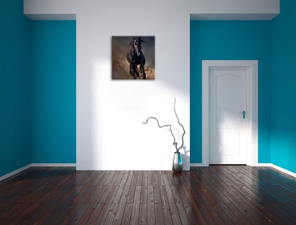 Elegantes schwarzes Pferd, Format: 70x70 auf Leinwand, XXL riesige Bilder fertig gerahmt mit Keilrah