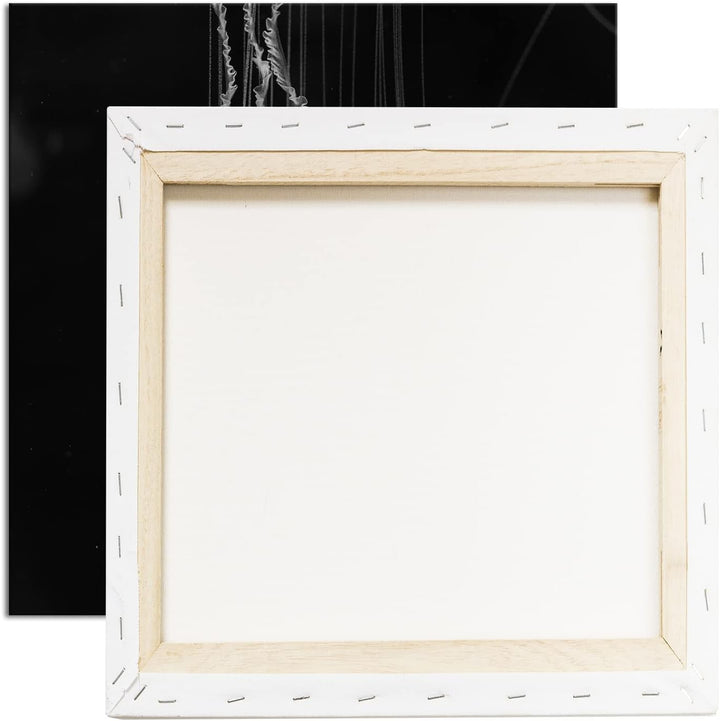 deyoli die langen Tentakel einer Qualle Effekt: Schwarz&Weiss, Format: 70x70 als Leinwandbild, Motiv