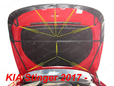 Auto-Bra AB3-00452 Carbon Optik kompatibel mit KIA Stinger Bj. ab 2017 Haubenbra Steinschlagschutz T