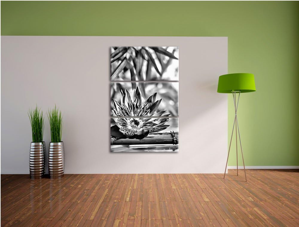 Pixxprint Monocrome, Seerose auf Bambus Wellness 3-Teiler Leinwandbild 120x80 Bild auf Leinwand