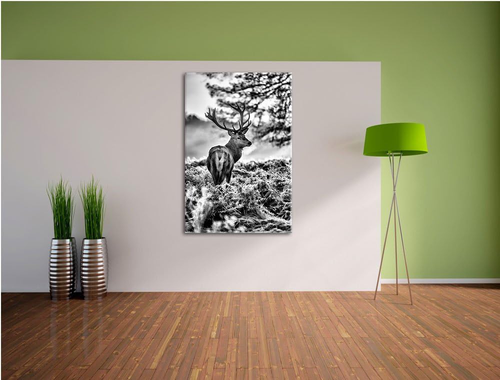 Pixxprint Hirsch im Wald als Leinwandbild/Grösse: 100x70 / Wandbild/Kunstdruck/fertig bespannt, 100x