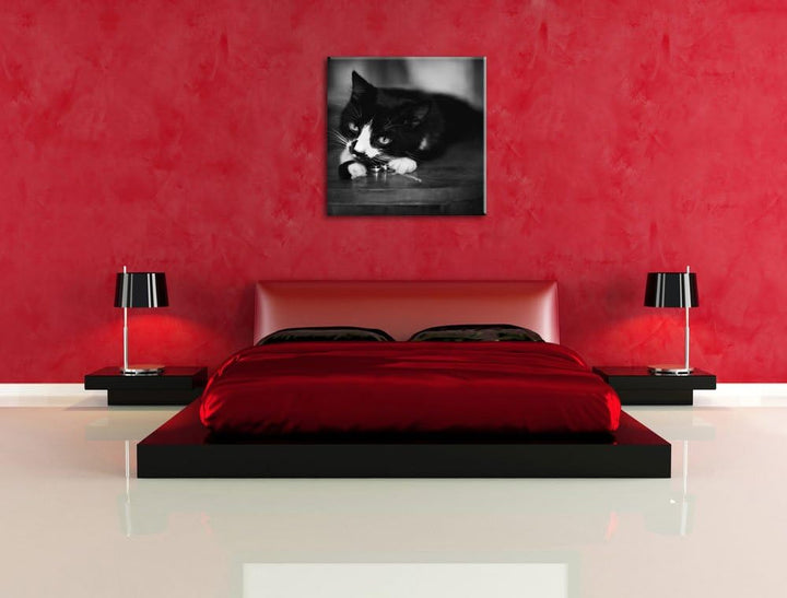 Schwarze Katze spielt mit Ehering, Format: 70x70 auf Leinwand, 70x70