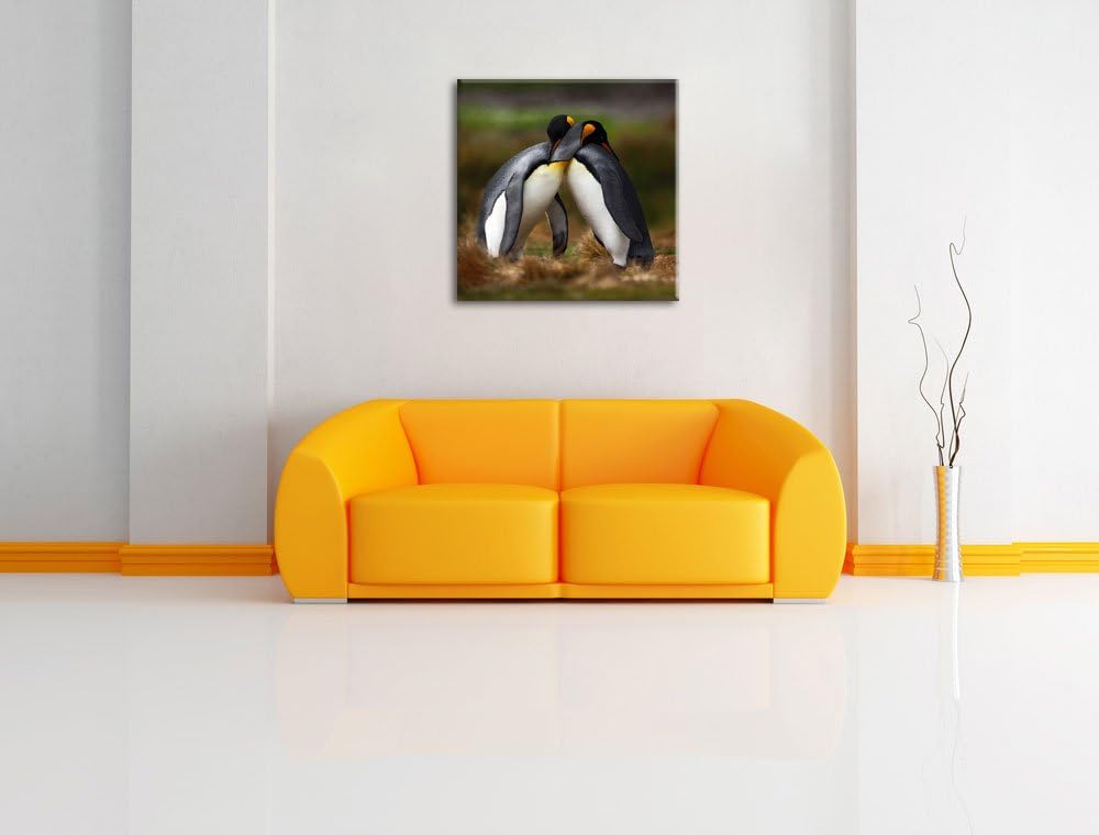 Umarmende Pinguine in der Antarktis, Format: 70x70 auf Leinwand, 70x70