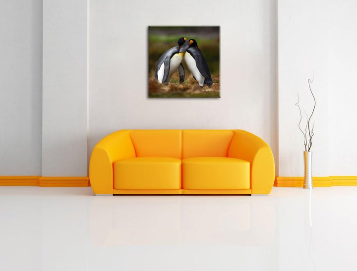 Umarmende Pinguine in der Antarktis, Format: 70x70 auf Leinwand, 70x70