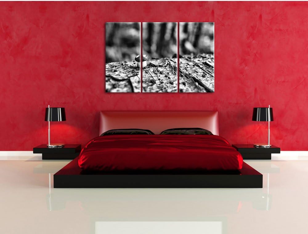 Pixxprint Kleiner Fliegenpilz auf Baumstamm als Leinwandbild/Grösse: 3 Teilig (120x80) / Wandbild/Ku