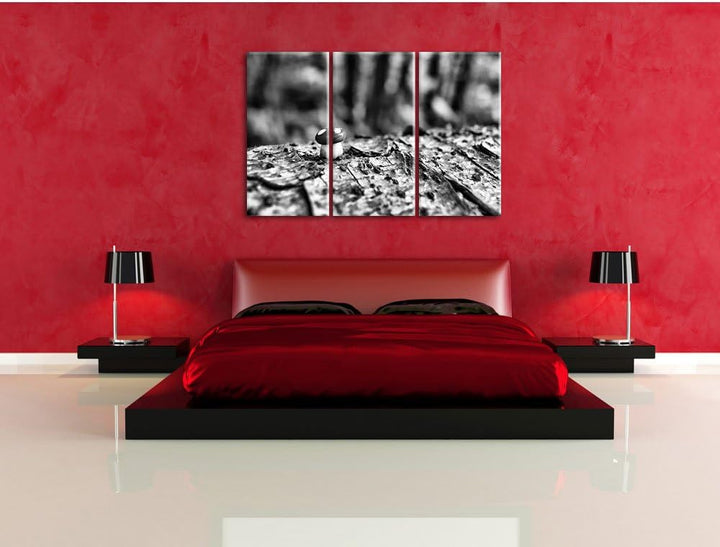 Pixxprint Kleiner Fliegenpilz auf Baumstamm als Leinwandbild/Grösse: 3 Teilig (120x80) / Wandbild/Ku