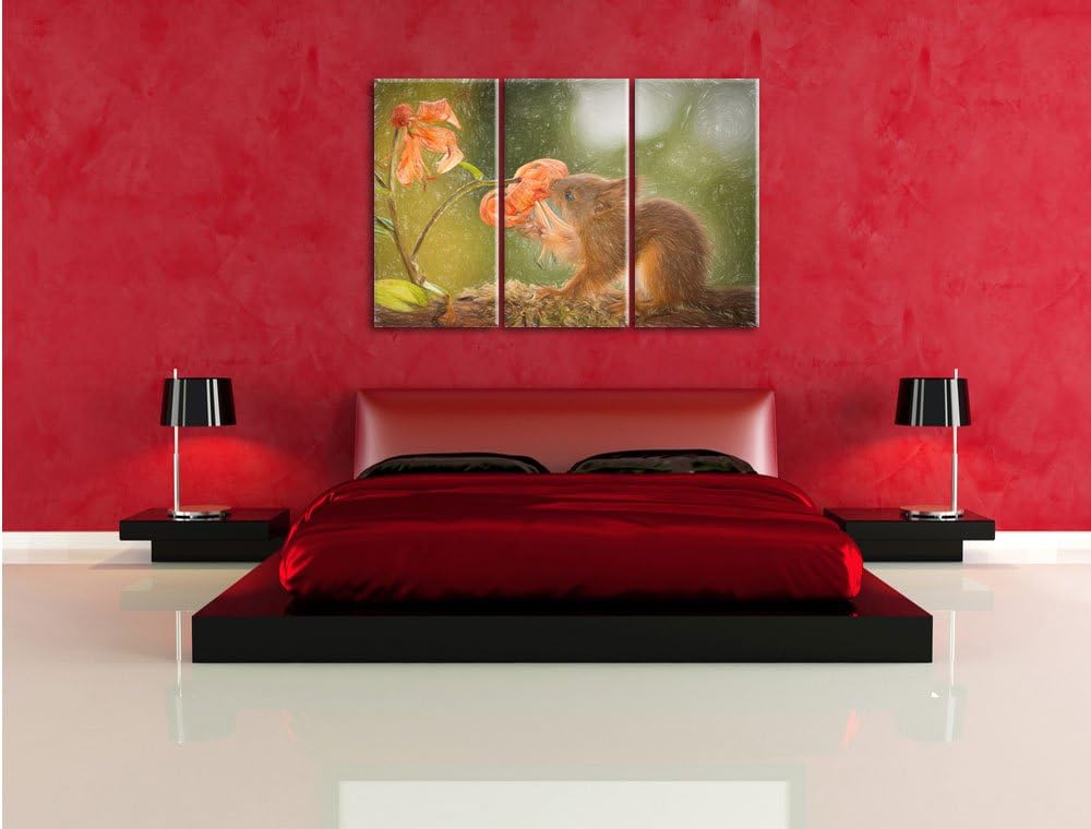 Pixxprint Eichhörnchen riecht an Einer Blume / 3-Teilig/Gesamtmass 120cm Leinwandbild bespannt auf H