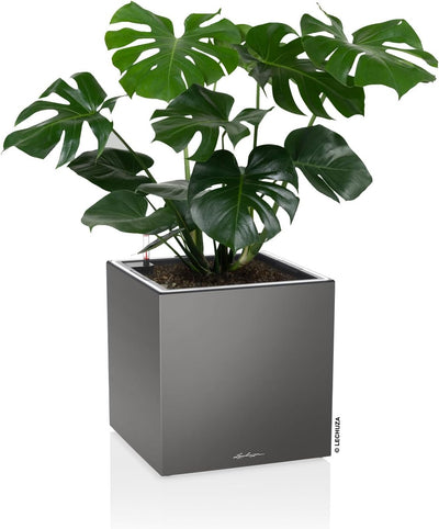 Lechuza Canto Premium 40 Low LED All-in-One Set anthrazit metallic 13783 40x40x40 cm Anthrazit Metal