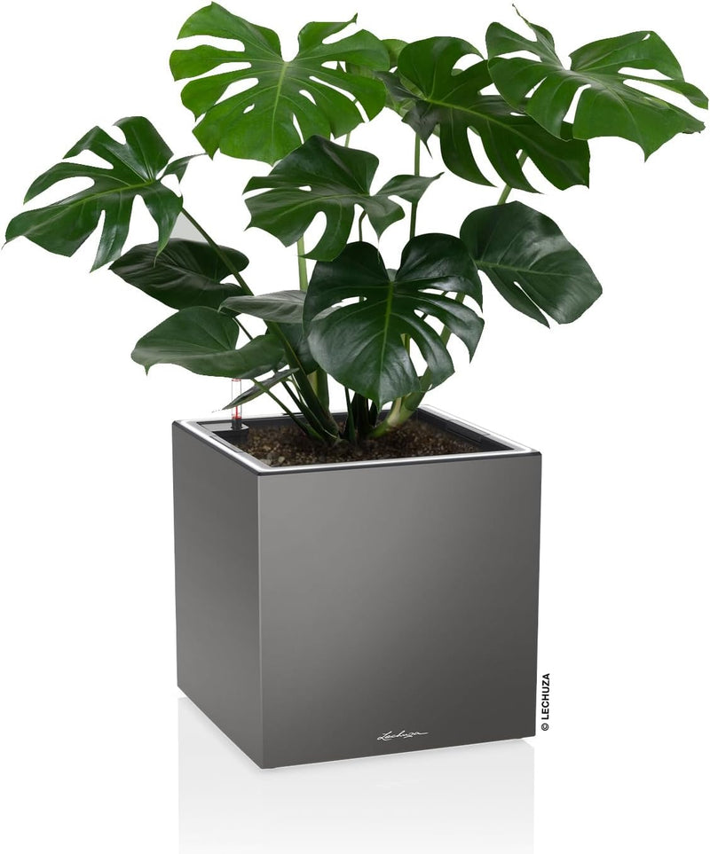 Lechuza Canto Premium 40 Low LED All-in-One Set anthrazit metallic 13783 40x40x40 cm Anthrazit Metal
