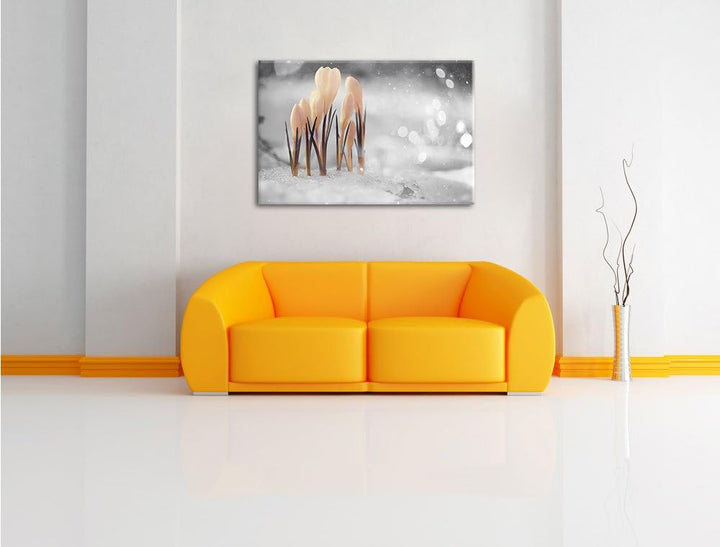 Pixxprint Schneeglöckchen im Frühjahr als Leinwandbild/Grösse: 100x70 cm/Wandbild/Kunstdruck/fertig