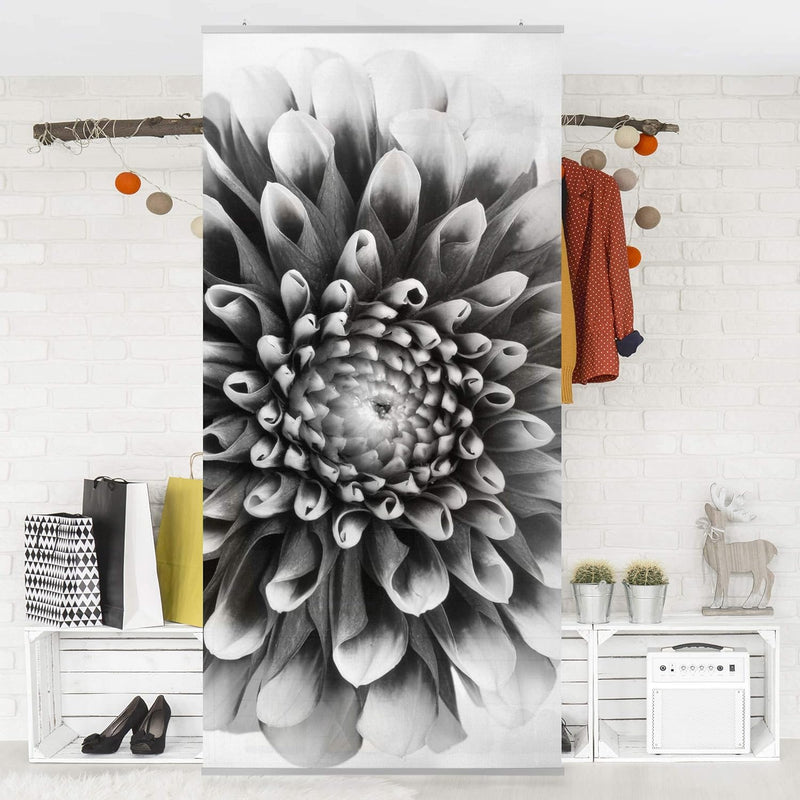 Bilderwelten Raumteiler Aster II 250x120cm inkl. transparenter Halterung 250x120cm incl. transparent