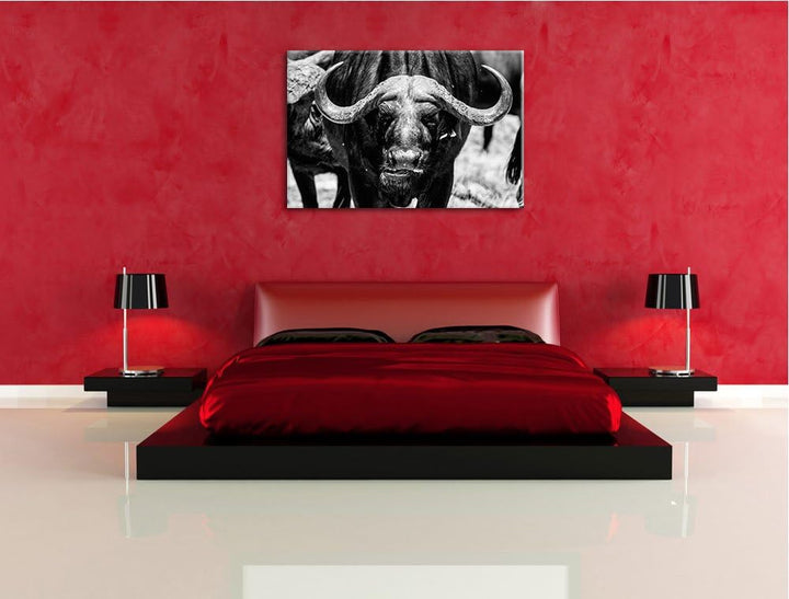 Wasserbüffel Schwarz/weiss Format: 100x70 auf Leinwand, XXL riesige Bilder fertig gerahmt mit Keilra
