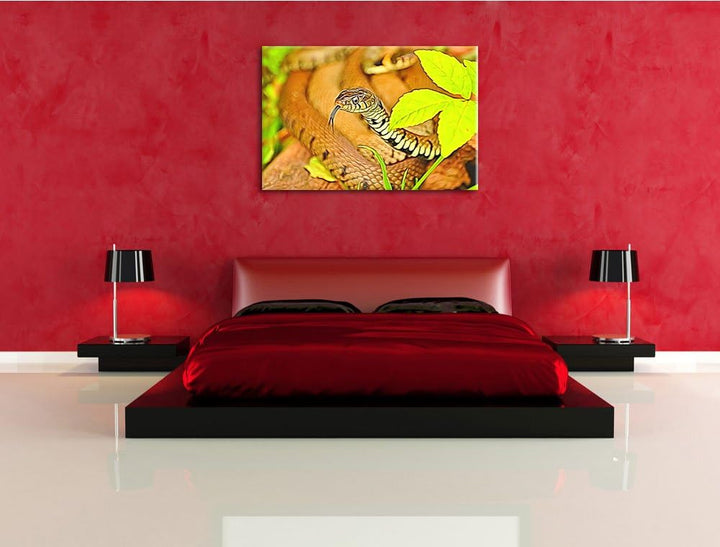 beeindruckende Schlange Deluxe Format: 100x70 cm auf Leinwand, XXL riesige Bilder fertig gerahmt mit