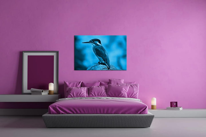 deyoli Eleganter Eisvogel mit blauem Gefieder Format: 80x60 Effekt: Monocrome Blau als Leinwandbild,