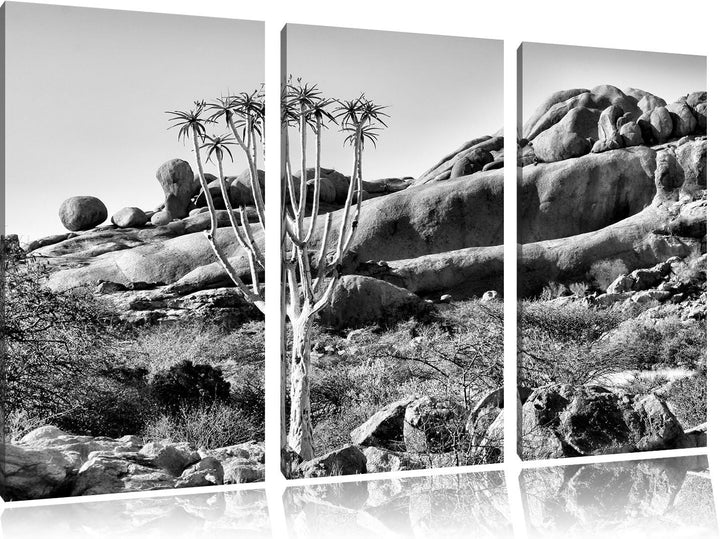 Pixxprint Monocrome, aussergewöhnlicher Baum im Steingebirge 3-Teiler Leinwandbild 120x80 Bild auf L
