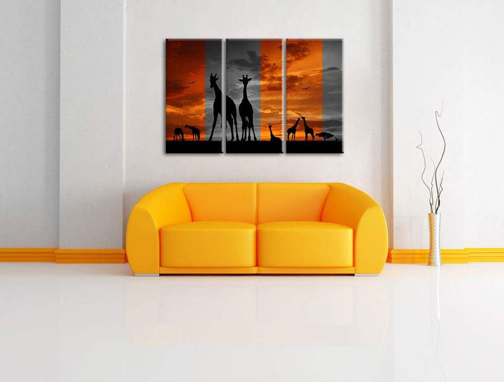 Afrika Giraffen im Sonnenuntergang schwarz/weiss 3-Teiler Leinwandbild 120x80 Bild auf Leinwand, XXL