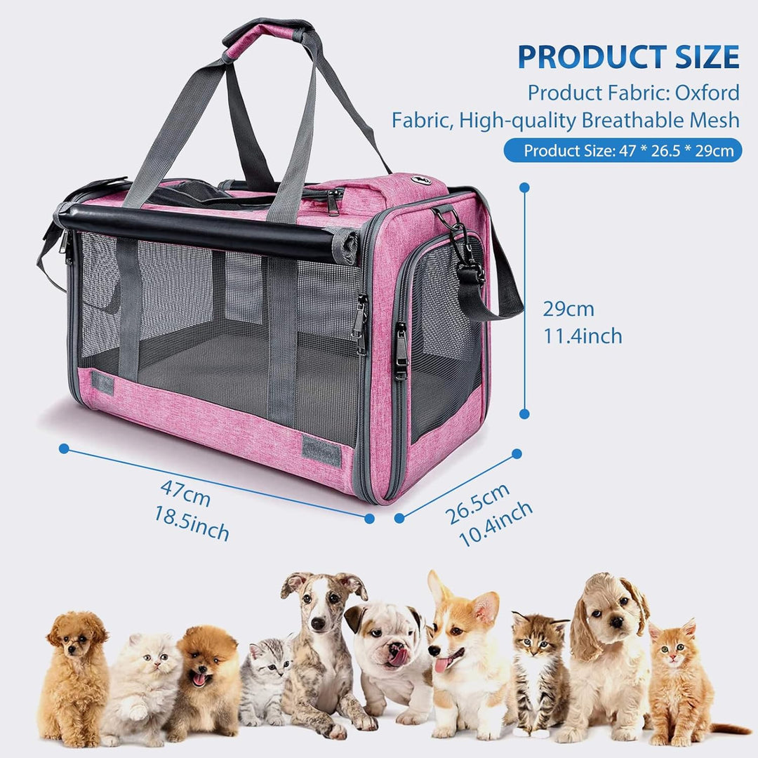 PETCUTE Katzentransportbox für grosse Katzen 20 lbs,Faltbar Hundetransportbox für Kleine Hunde,Tragb