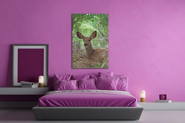 deyoli ruhiges Reh im Wald Format: 80x60 als Leinwand, Motiv fertig gerahmt auf Echtholzrahmen, Hoch