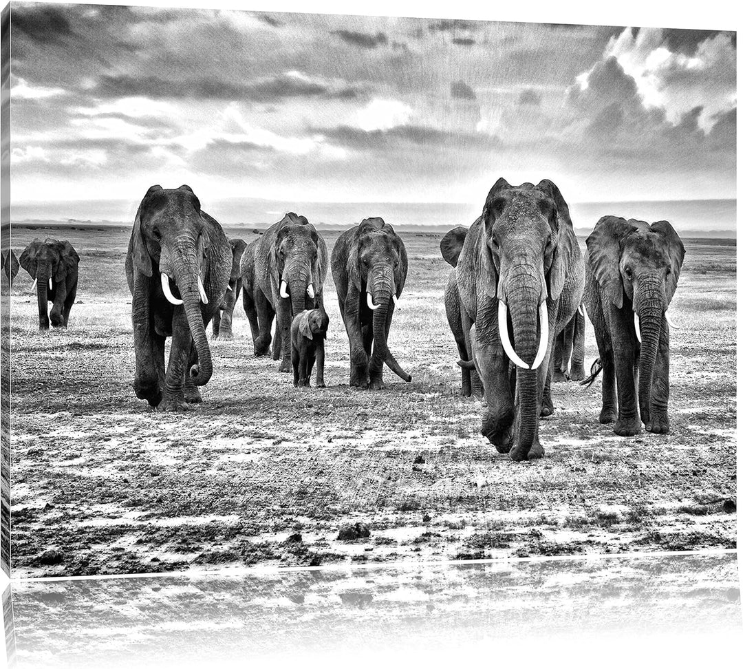 Pixxprint Elefanten Familie in der Savanne Kunst B&W, Format: 100x70 auf Leinwand, 100x70
