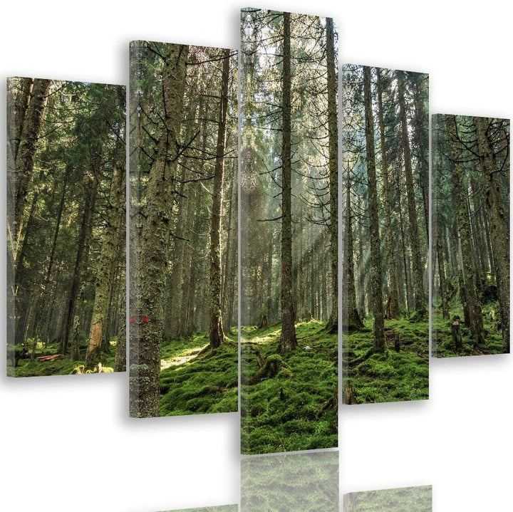 Feeby Leinwandbild Landschaft 5 TLG Bild Kunstdruck Natur Wald Bäume grün 100x70 cm Leinwandbild 100