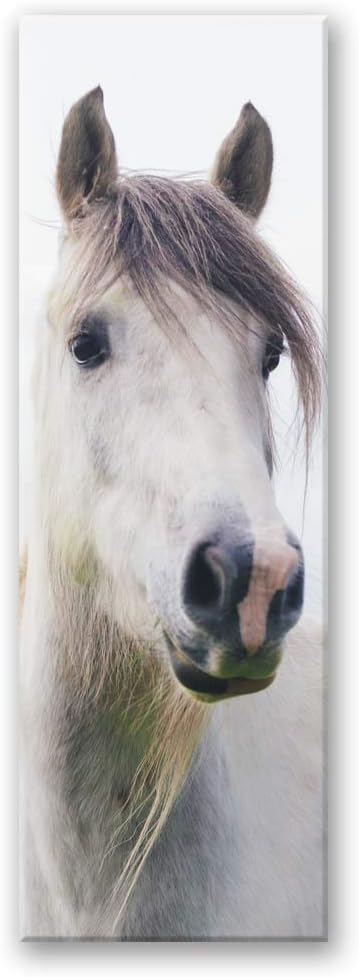 Wandbild Pferd Modern Deko Kunst Bilder Tier Weiss 30x90 cm M14016 30x90 cm, M14016 30x90 cm