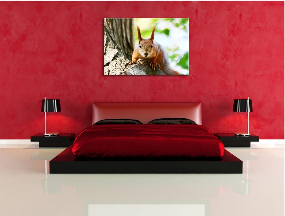 Pixxprint interessantes Eichhörnchen auf dem Baum, Format: 100x70 auf Leinwand, 100x70