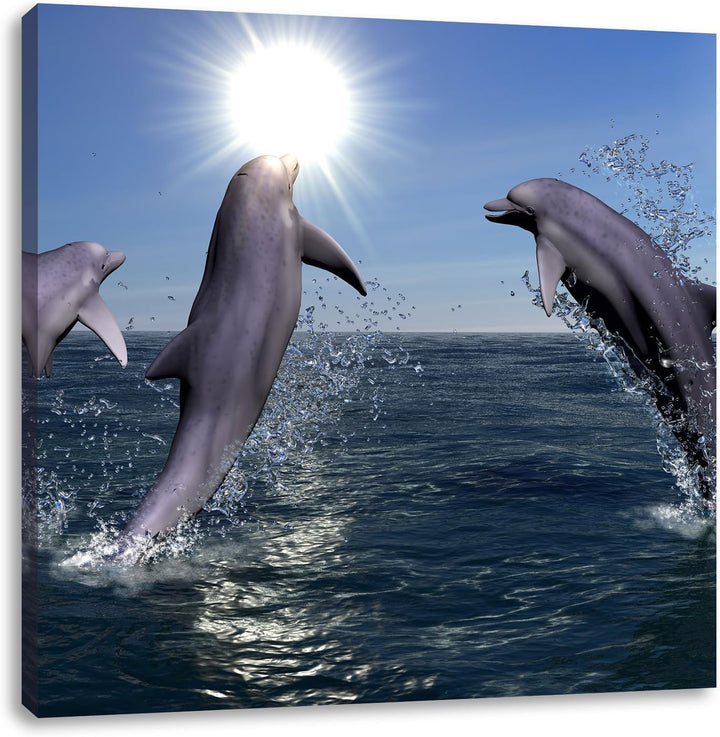 Pixxprint springende Delphine als Leinwandbild Quadratisch/Grösse: 70x70 / Wandbild/Kunstdruck/ferti