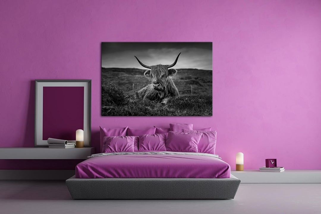 deyoli pelziges Rind auf schottischer Landschaft Effekt: Schwarz/Weiss im Format: 60x40 als Leinwand