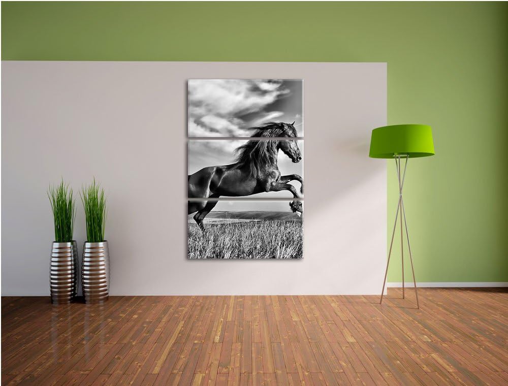 Pixxprint Monocrome, Schwarzer Hengst auf grünen Wiese 3-Teiler Leinwandbild 120x80 Bild auf Leinwan