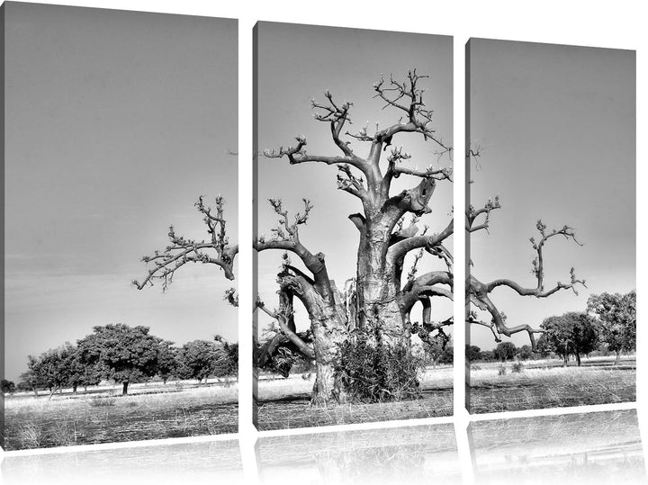 Pixxprint Monocrome, vertrockneter Baum in der Savanne 3-Teiler Leinwandbild 120x80 Bild auf Leinwan