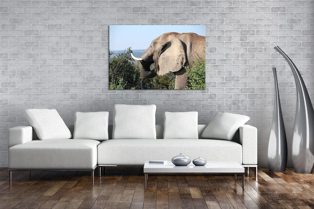 deyoli grosser Elefant Format: 100x70 als Leinwand, Motiv fertig gerahmt auf Echtholzrahmen, Hochwer