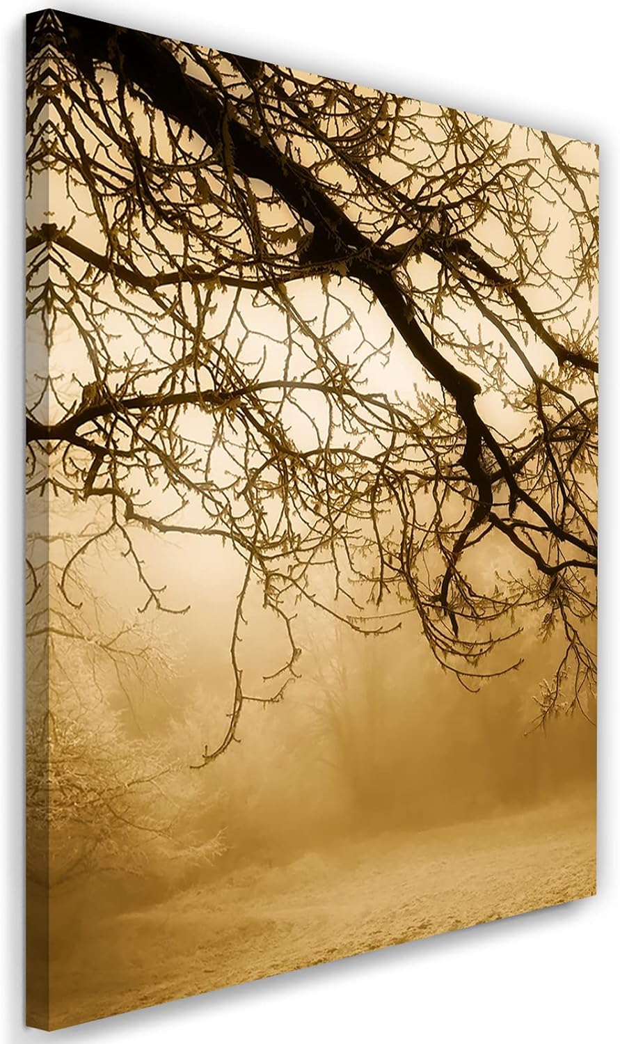 Feeby Wandbilder Wald im Nebel Landschaft XXL 60x90 cm 1Teilig Modern Vlies Bilder Leinwandbilder Bi