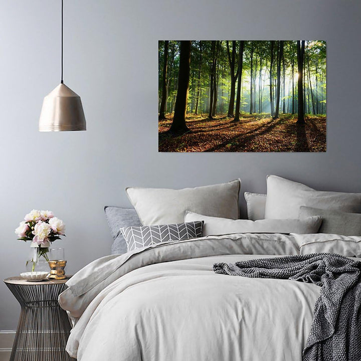 Feeby Vlies Leinwandbild Sonnenstrahlen Im Wald 120x80 cm Wand Bild Kunstdruck Deko Wohnzimmer Wohnu