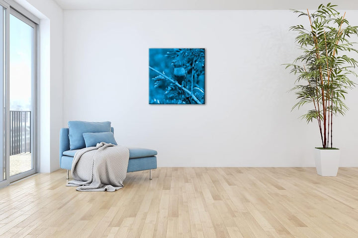 Allfarblori Papagei in der Natur Format: 40x40 Effekt: Monocrome Blau als Leinwandbild, Motiv fertig