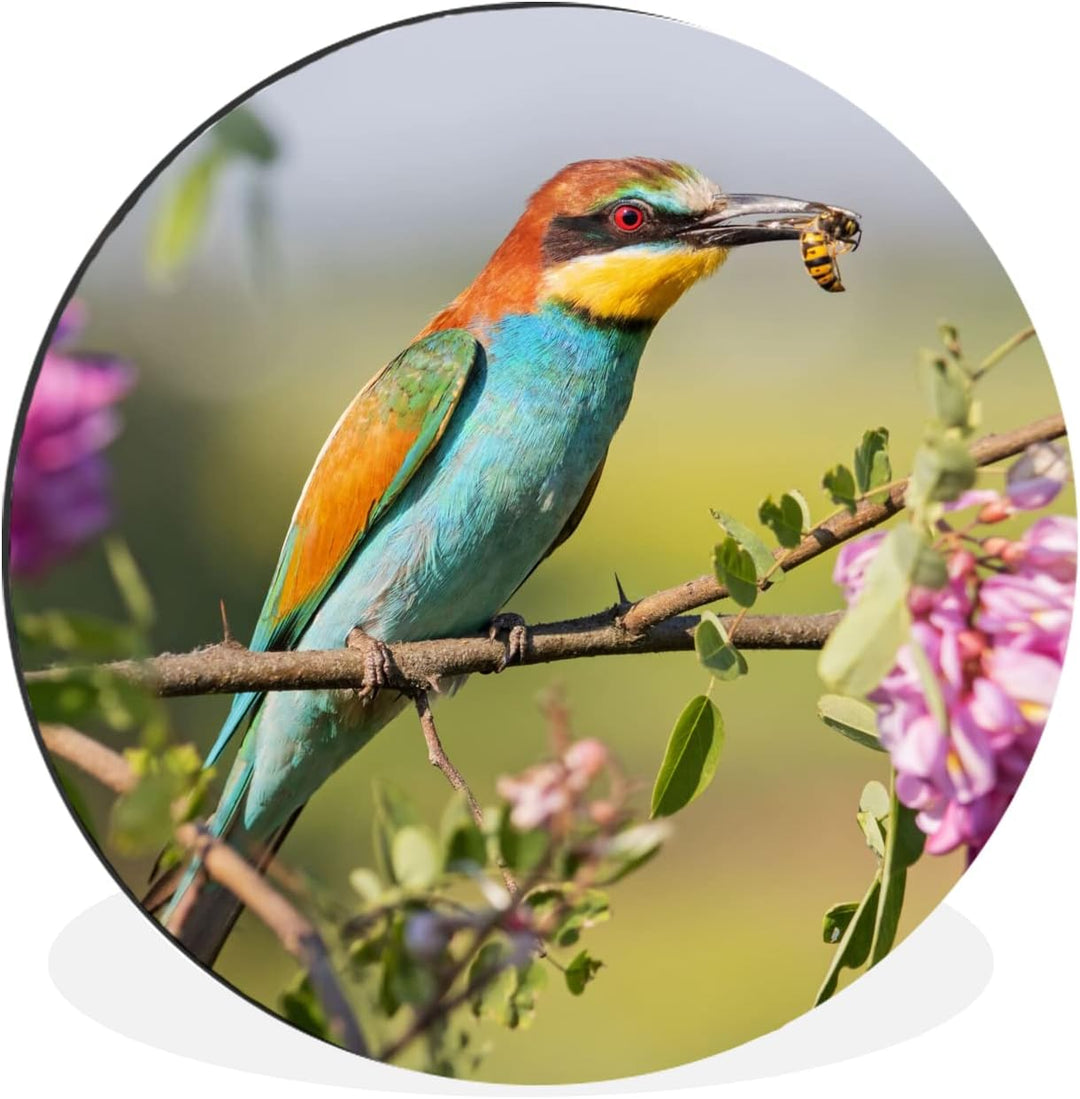 MuchoWow Wandbild Rund Wanddeko Deko Wohnzimmer Bilder 60x60 cm Vogel - Bienenfresser - Blumen, 60x6