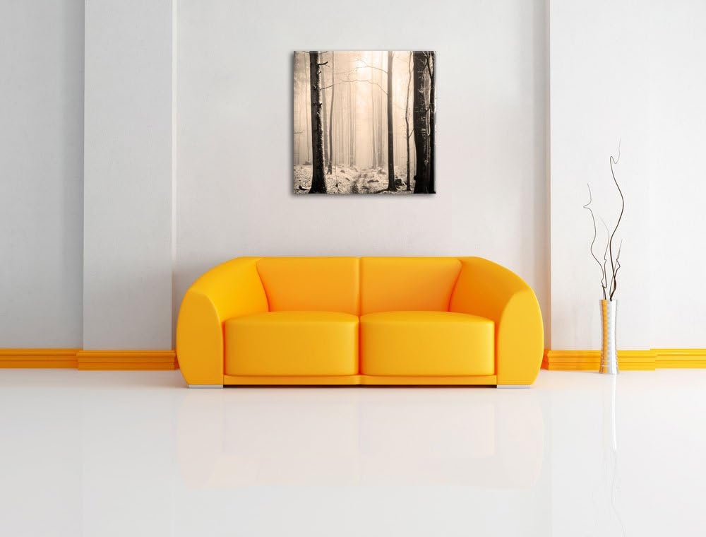 Pixxprint Mystischer Wald Schwarz/Weiss, Format: 70x70 auf Leinwand, 70x70