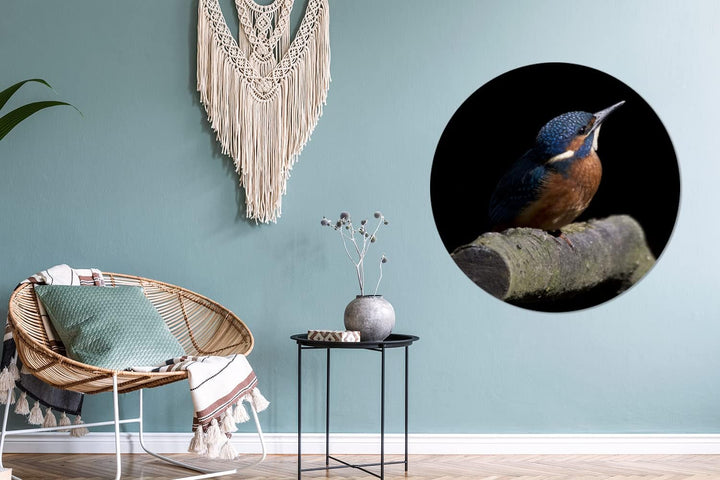MuchoWow Wandbild Rund Wanddeko Deko Wohnzimmer Bilder 90x90 cm Eisvogel - Federn - Vogel, 90x90 cm