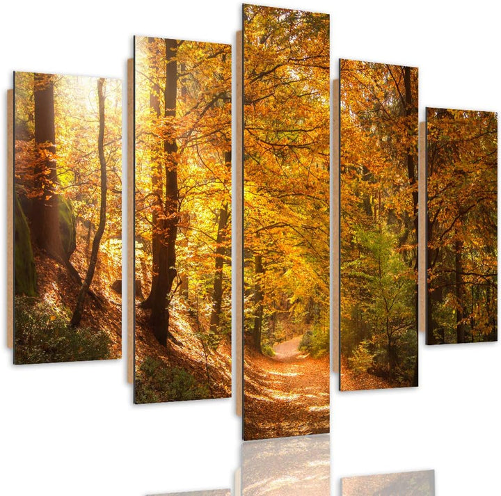 Bilder Modern Natur 5 Teilig Design Art Herbst Wald Pfad Bäume orange 250x120 cm Deco panel 250x120