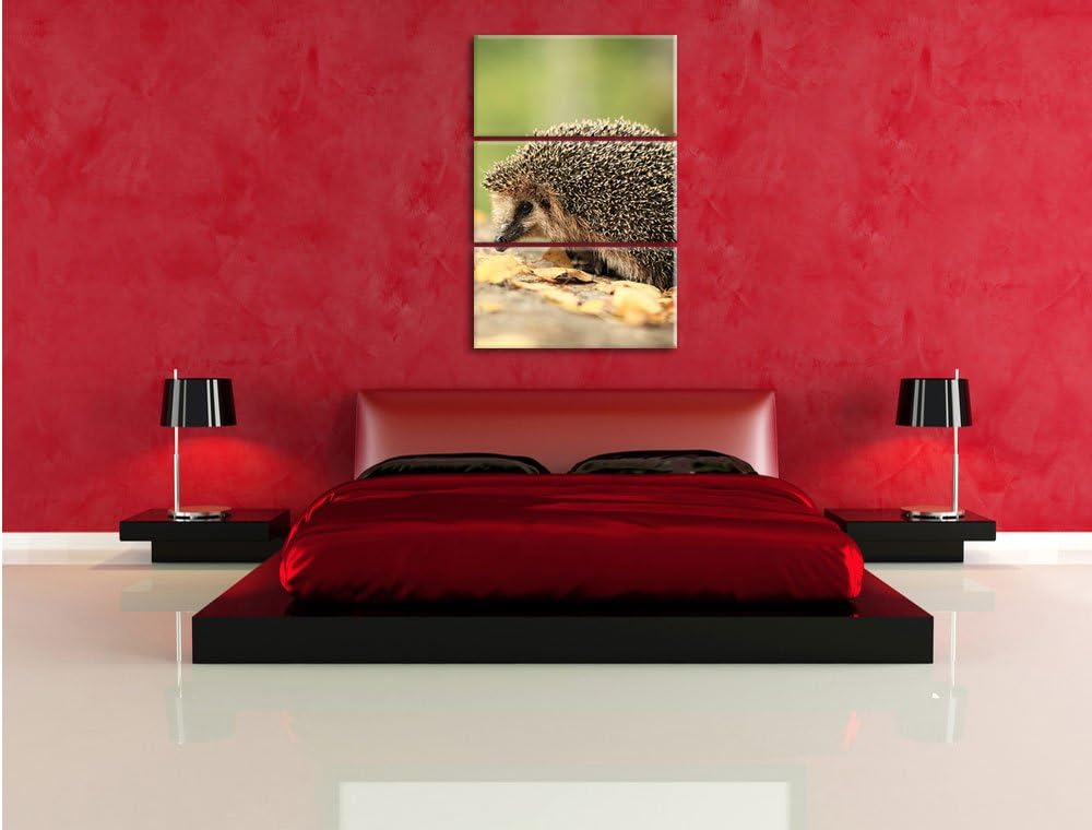 Pixxprint Igel im Laub als Leinwandbild/Grösse: 3 Teilig (120x80) cm/Wandbild/Kunstdruck/fertig besp