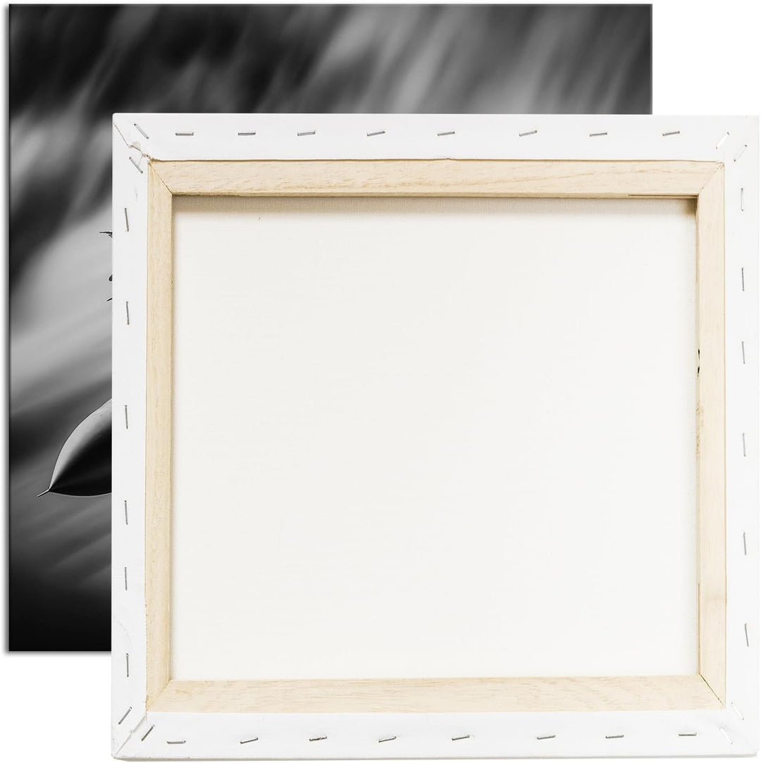 deyoli Düsenjet im Feuernebel Format: 70x70 cm Effekt: Schwarz/Weiss als Leinwandbild, Motiv fertig