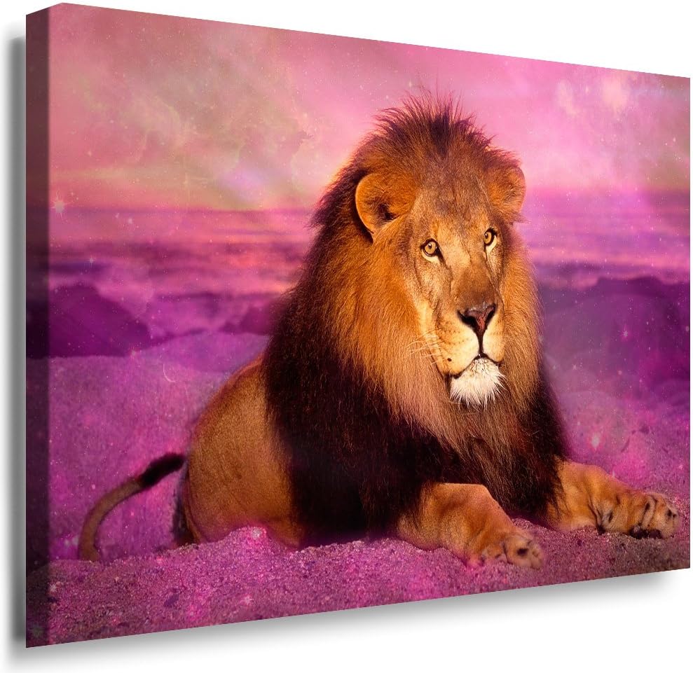 Julia-Art - Leinwandbilder - XXL Leinwand Bild (100 x 70 cm 1 teilig) Wandbilder mit Keilrahmen - Ku