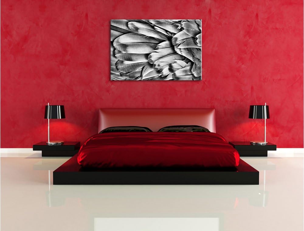 Pixxprint Monocrome, Bunte Papageienfedern, Format: 100x70 auf Leinwand, riesige Bilder fertig gerah