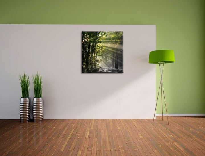 Pixxprint Waldweg im Frühling als Leinwandbild/Grösse: 70x70 cm/Wandbild/Kunstdruck/fertig bespannt,