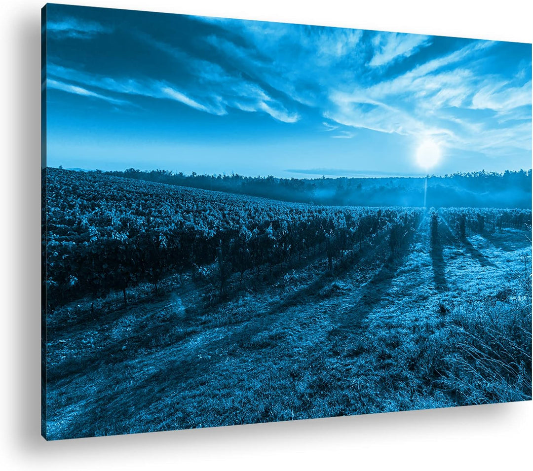 Traubenfeld in der Toskana Format 60x40 Effekt: Monocrome Blau als Leinwandbild, Motiv fertig gerahm