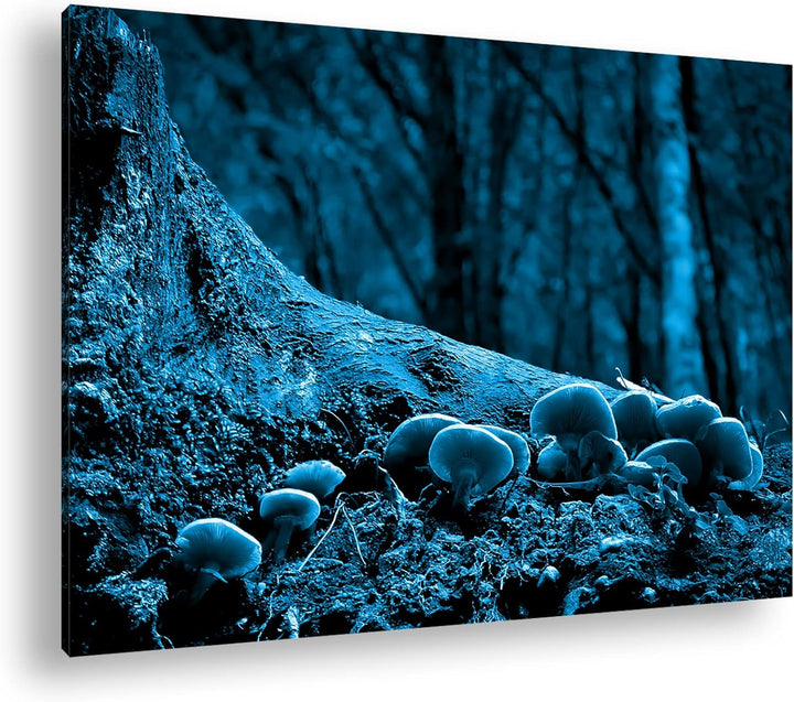 deyoli Pilze am Baumstamm Format 100x70 Effekt: Monocrome Blau als Leinwandbild, Motiv fertig gerahm